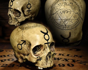 Deluxe painted Realistic Alchemy Skull,   pentagram skull, astrology skull,  Solomon Kabbalah Sigils Astrology Symbols