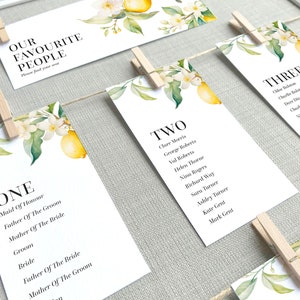 Lemon & White Blossom Flower Wedding Table Plan Card / Seating Plan Cards / Seating Chart Cards and Table Number / Name Cards 'VALENCIA'