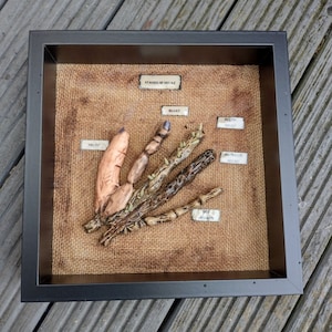 Stages of Decay Picture Frame