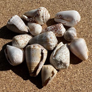 May include: A white ceramic mug with a black handle and the text "But First, Coffee" in a bold, black font. The mug is set against a blurred background, suggesting a cozy setting.