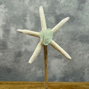 Starfish, Sea Glass, Heart Seashells, and Driftwood Beach Decor Accent Sculpture