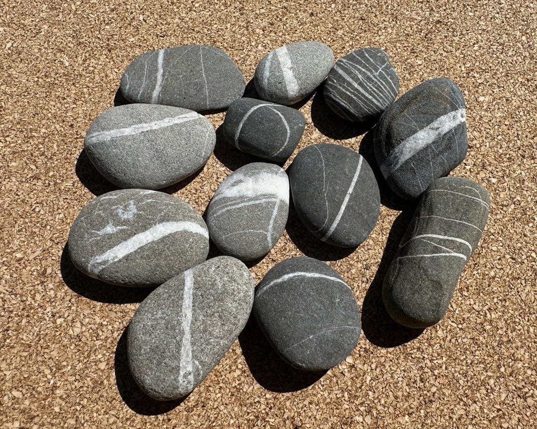 Large Striped Rocks Striped Rocks - 12 Stones With White Stripes - Real Beach Rocks - Etsy