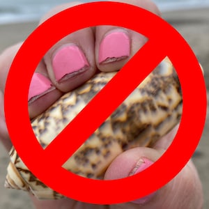 Beach Comb Hand-held Beach Rake - Great for Finding Sea Glass and ...