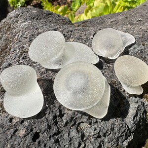 Op de afbeelding: Een verzameling mat, helder zeeglas in verschillende vormen, waaronder afgeronde en paddenstoelachtige vormen. Het zeeglas wordt gepresenteerd op een donker, getextureerd rotsachtig oppervlak, met hints van groene vegetatie op de achtergrond.