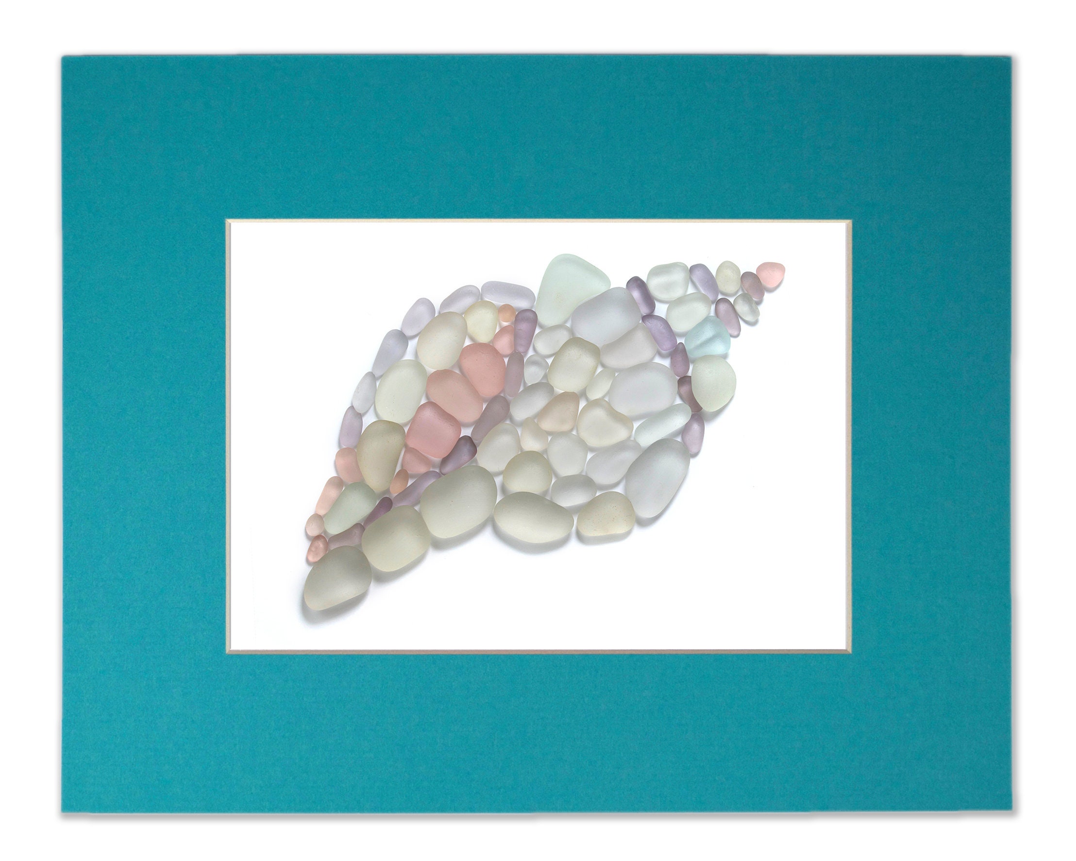 Sea Glass Seashell - Seaglass Art Print Conch Shell Matted Print - Etsy