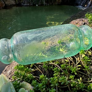Puede incluir: Una botella de vidrio cilíndrica transparente, con extremos redondeados y un ligero tinte verde. La botella está llena de musgo verde y se encuentra entre suculentas verdes y rocas oscuras, con un estanque al fondo.