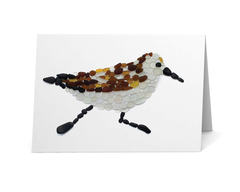 Sea Glass Sandpiper Card - Seaglass Art Print, Blank Inside - Etsy