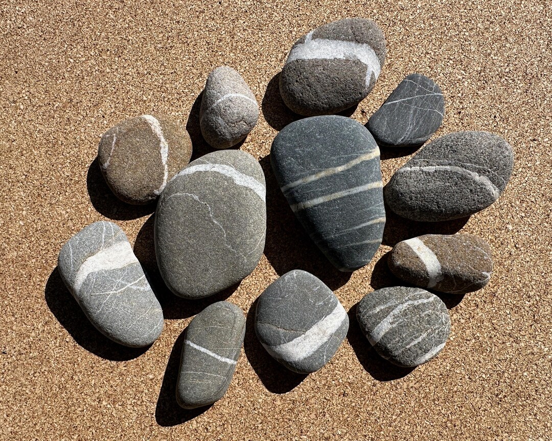Large Striped Rocks Striped Rocks - 12 Stones With White Stripes - Real Beach Rocks - Etsy