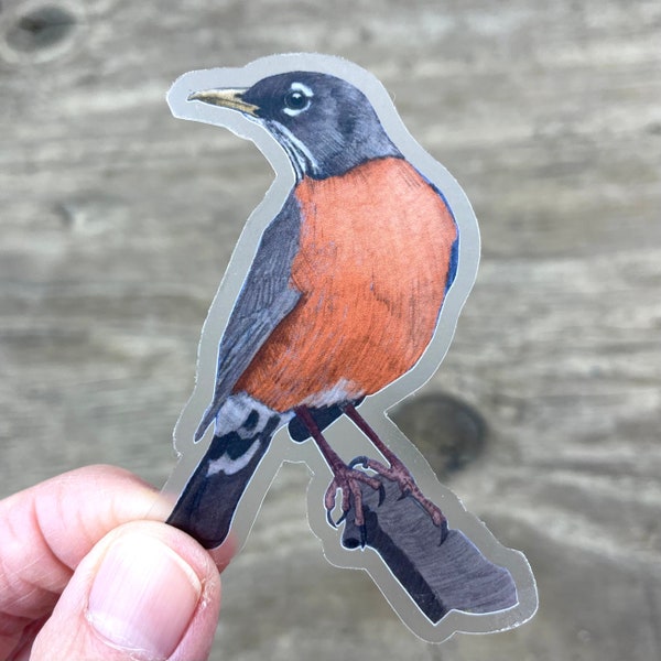 American Robin - sticker, birding sticker, birdwatcher gift, Robin Redbreast, water bottle sticker