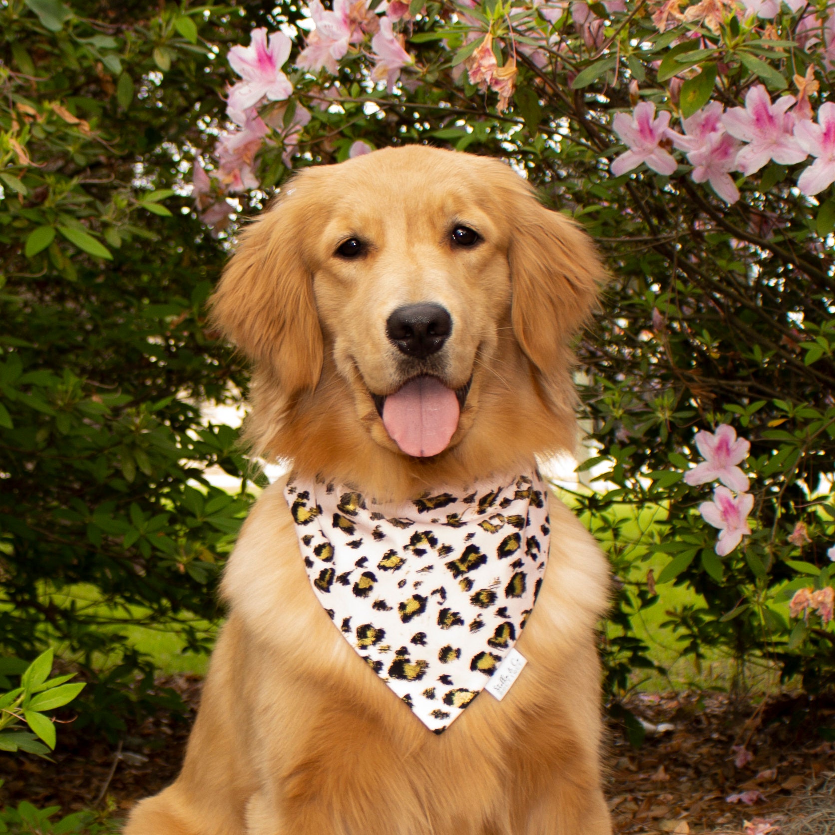 Printed 2024 dog bandanas