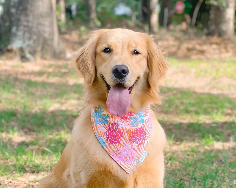 Dog Mom Gift Over the Collar Coral Print Dog Bandana Pet Gift