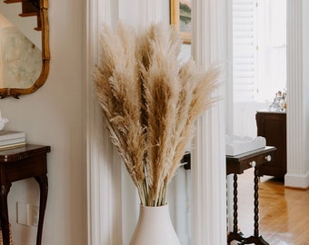 4 ft 5 ft TALL PAMPAS GRASS - Xl Beige Fluffy Pampas Grass | Tall Pampas Grass for Floor Vase | Coastal Decor Beach Home Decor Boho Decor