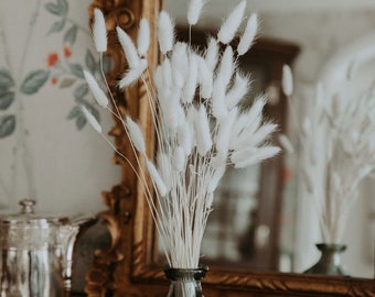 White Bunny Tails Bundle Pampas Like Dried Grass Coastal Grandmother Aesthetic Decor