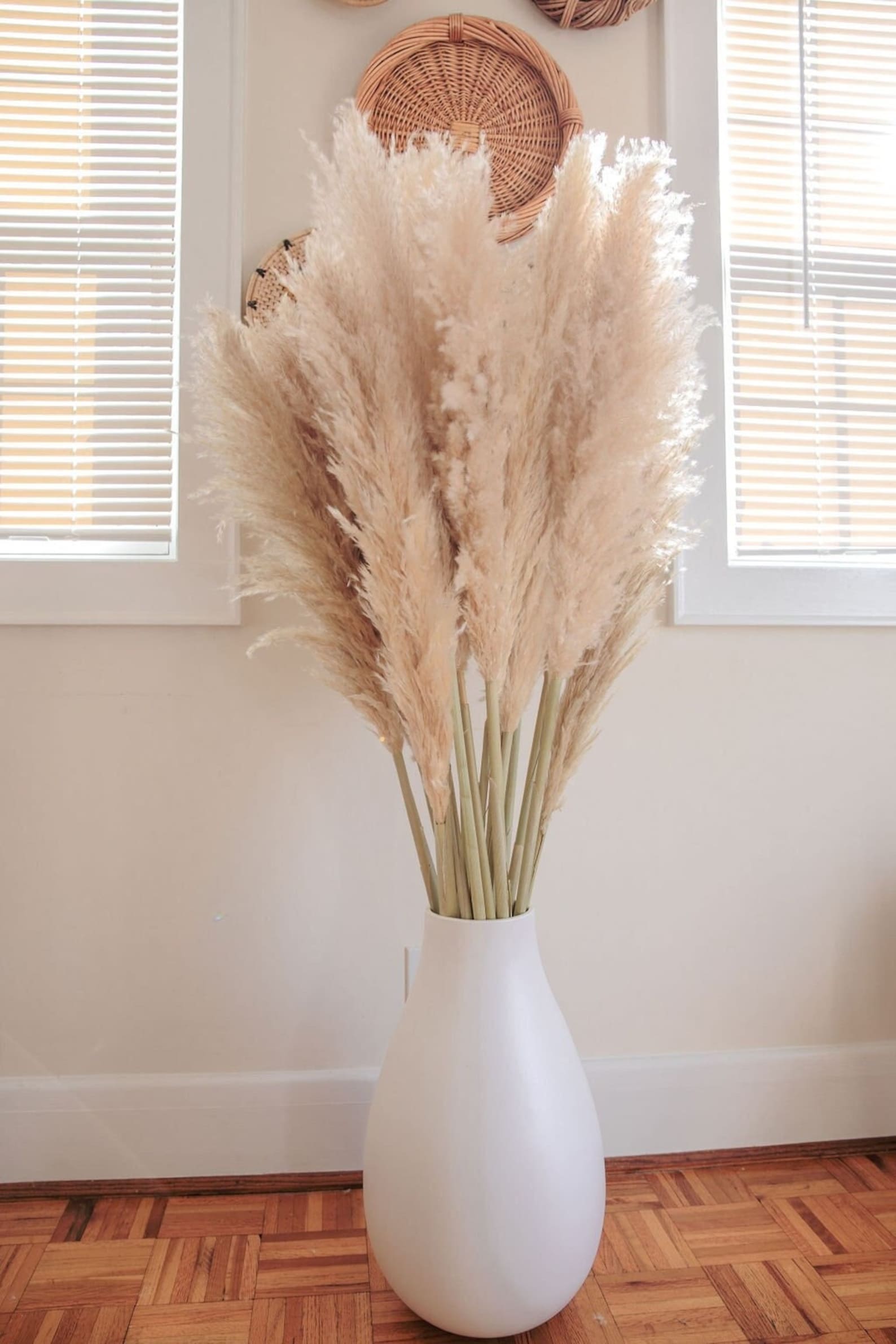 4 Ft 5 Ft TALL PAMPAS GRASS Xl Beige Natural Dried Decor - Etsy