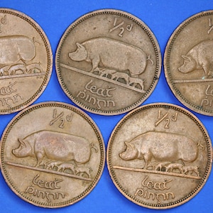 GENUINE Collection 5 Irish Half Penny Pennies 1/2d EIRE Ireland coins, different dates, Sow & Piglets [R08/25 30759]