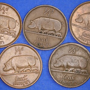 GENUINE Collection 5 Irish Half Penny Pennies 1/2d EIRE Ireland coins, different dates, Sow & Piglets [11/24 31404]
