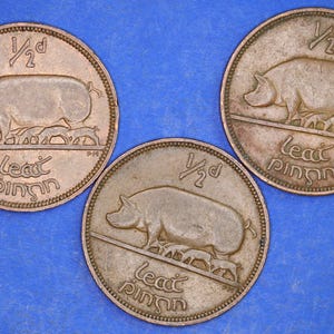 GENUINE Collection 3 Irish Half Penny Pennies 1/2d EIRE Ireland coins, different dates, Sow & Piglets [12/24 31712]