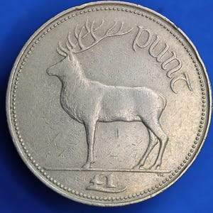 1990 Irish Ireland EIRE One Pound One Punt coin, Stag, high grade   [07/25 33012]