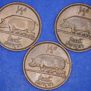 GENUINE Collection 3 Irish Half Penny Pennies 1/2d EIRE Ireland coins, different dates, Sow & Piglets [12/24 31709]