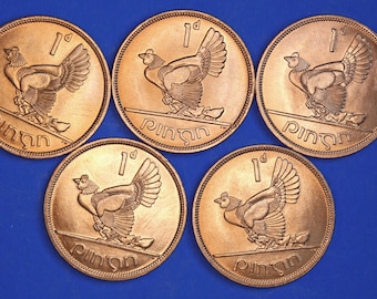 ÄKTA 5 irländska pennies EIRE Irlandmynt, Hen Chicks, 1968, aUNC [10/26 35856]