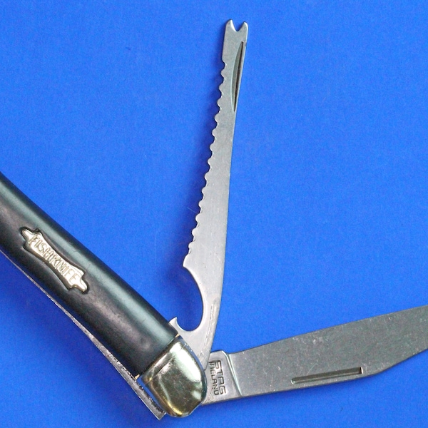 Irish made Stag Ireland folding Fishknife, folding knife, pocket knife Pen Knife, 3 inch  [R07/23 STAG]
