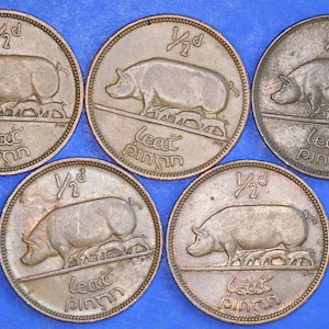 GENUINE Collection 5 Irish Half Penny Pennies 1/2d EIRE Ireland coins, different dates, Sow & Piglets [12/24 31692]