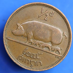 GENUINE 1953 Irish Half Penny Penny 1/2d EIRE Ireland coin, Sow & Piglets [07/25 33018]