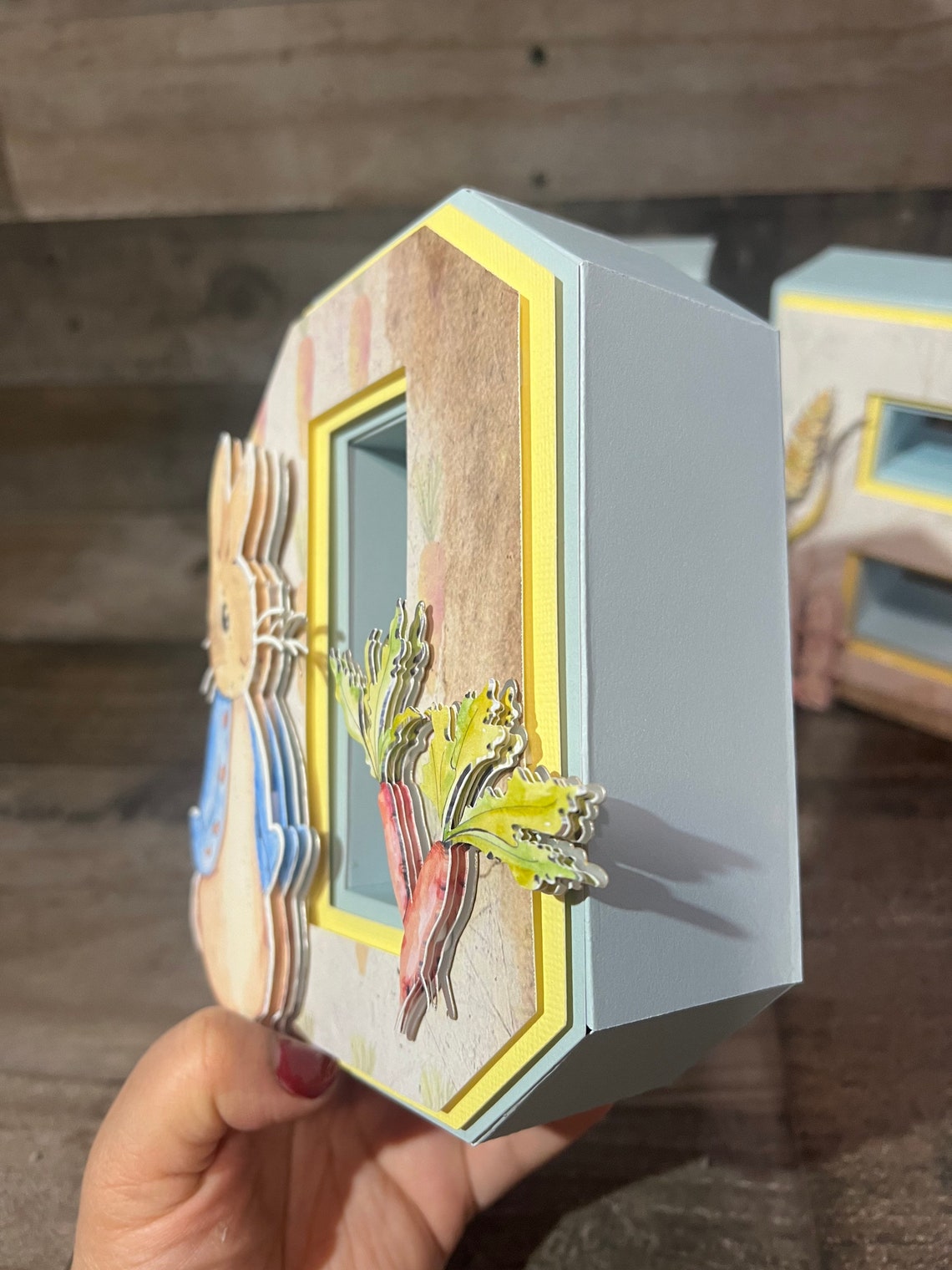 Peter Rabbit Letters Party Decorations Boy Birthday Party | Etsy