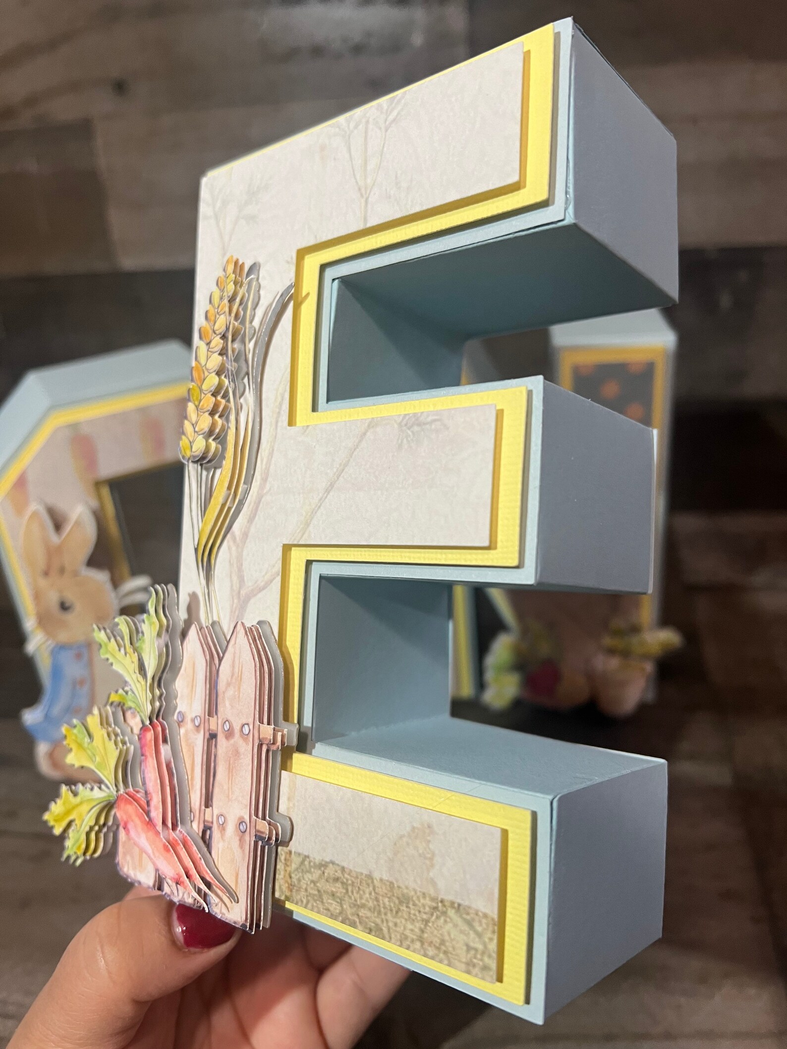 Peter Rabbit Letters Party Decorations Boy Birthday Party | Etsy