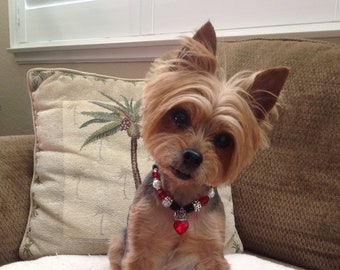 fancy cat accessories