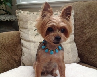 Turquoise Pet Collar Necklace with Gold Accent Elegant Beaded Pet Jewelry Fancy Custom Dog Collar Cat Collar Luxury Pet Accessory