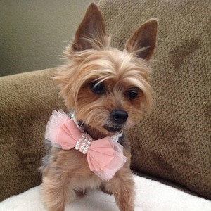 Elegant Pink Bow Tie Pet Collar Girl Dog or Cat Bow with Pearl Accent Fabric Bow Pet Neck Wear Custom  Collar Special Occasion Pet Accessory