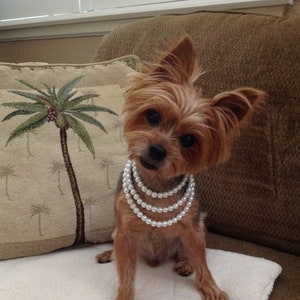 Elegant Pearl Pet Collar Multi Strand Pearl Dog Cat Jewelry Pet Wedding Bridal Jewelry Three Strand Custom Pet Necklace Pearl Puppy Collar