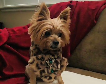 May include: A small, brown and white dog wearing a leopard print sweater with a green and gold jeweled brooch. The dog is sitting on a white surface.