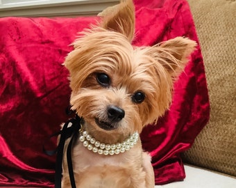 Elegant Pearl Dog Cat Collar Dog Cat Necklace Black Velvet Ribbon Tie Multi Strand Pearl Puppy Kitty Jewelry Custom Pet Accessory