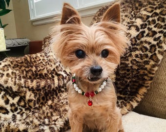 Collar elegante para mascotas con perlas brillantes, ideal para perros y gatos. Incluye perlas de agua dulce o perlas sintéticas y un dije de diamantes de imitación. Accesorio de joyería con cuentas brillantes.