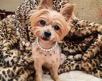 Elegante collar de perlas para mascotas con colgante de gota de lluvia dorada. Joyería nupcial de lujo para perros y gatos. Accesorio de lujo con cuentas para mascotas.