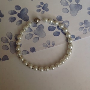 Pearl Pet Collar: Rhinestone Bridal Dog Wedding Jewelry