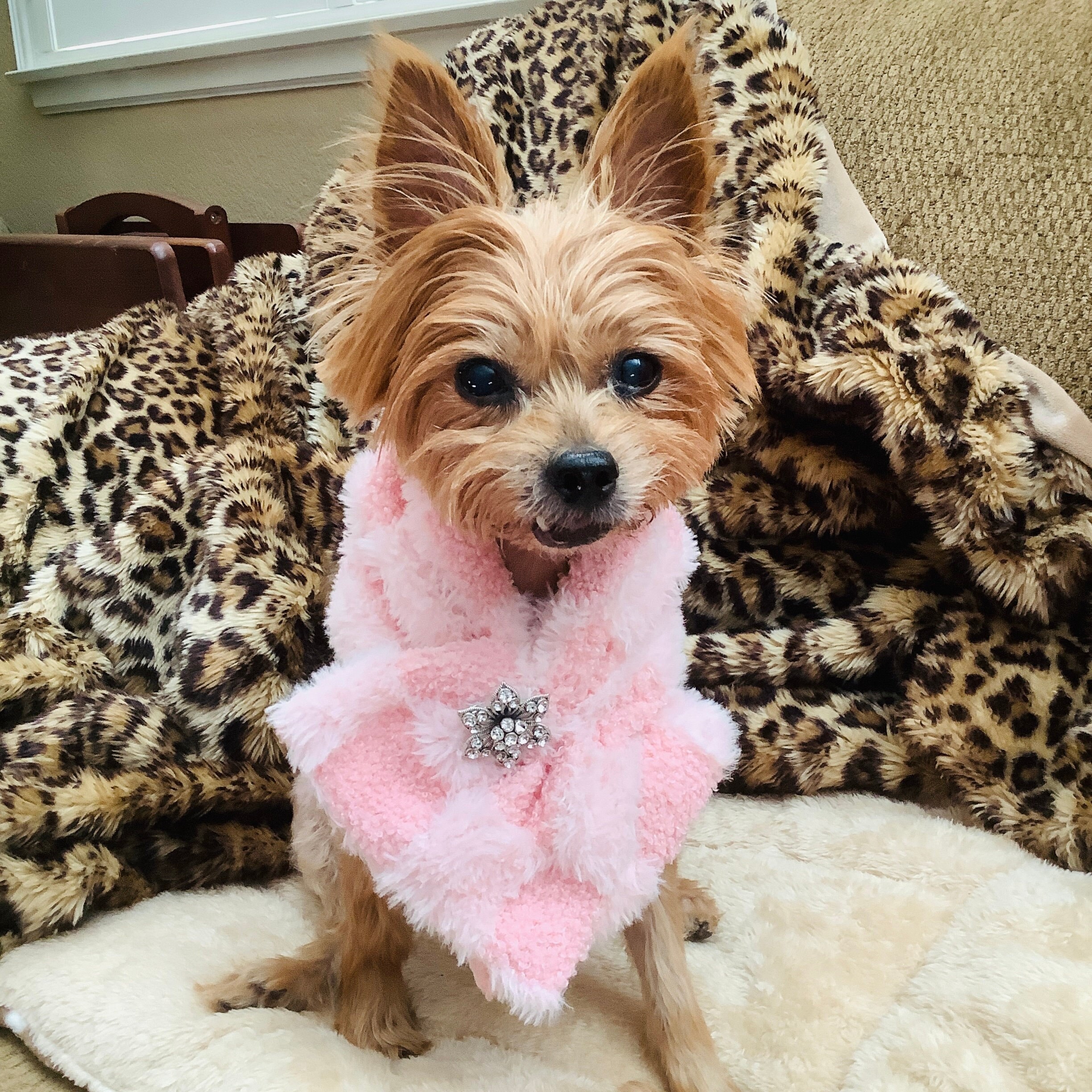 Dog fur scarf deals