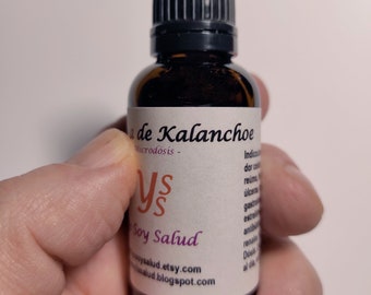 Organic Kalanchoe Tincture, Kalanchoe Extract, Maximum Strength, Microdose, 100% BIO, Kalanchoe daigremontiana