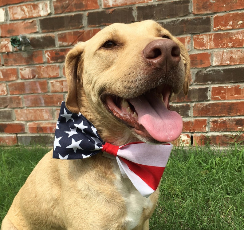 premier dog bandanas