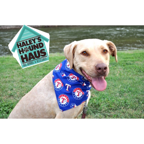 texas rangers dog jersey