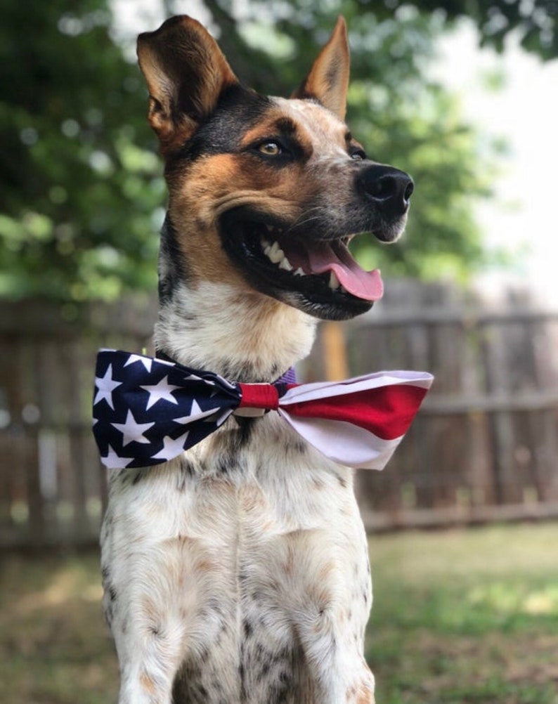 american flag dog bow tie