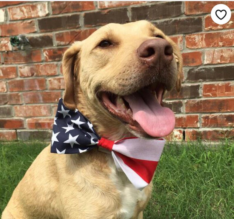 Large Dog Bow Tie Patriotic Bow Tie slip on bow tie American Flag Dog Bow Tie Huge Bow tie hook and loop Bow Tie