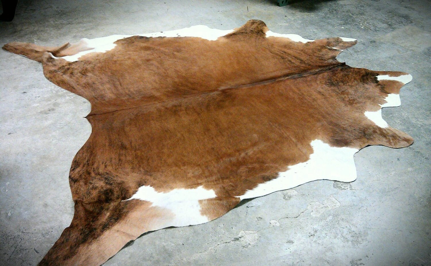 Gambrell Renard Classic Cowhide Rug Brown & White Etsy