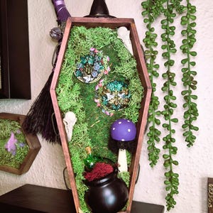 May include: A wooden coffin-shaped display box filled with green moss, decorative masks, a purple mushroom, a black cauldron, and a small green bottle. A witch's hat sits atop the box. A broom and hanging greenery are visible in the background.