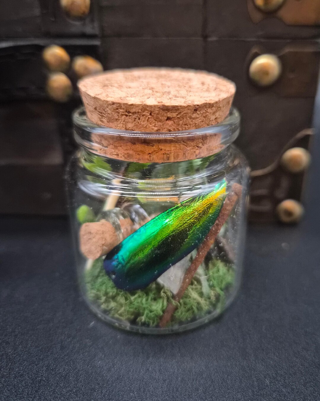 Teeth In Jar Shark Teeth Oddity Jar - Etsy
