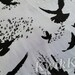Noir - Oiseaux - Blanc - coton lycra - étirement - tissu en tricot - quatre voies - tricot extensible - tissu - oiseau - corbeau - corbeau - troupeau - tricots