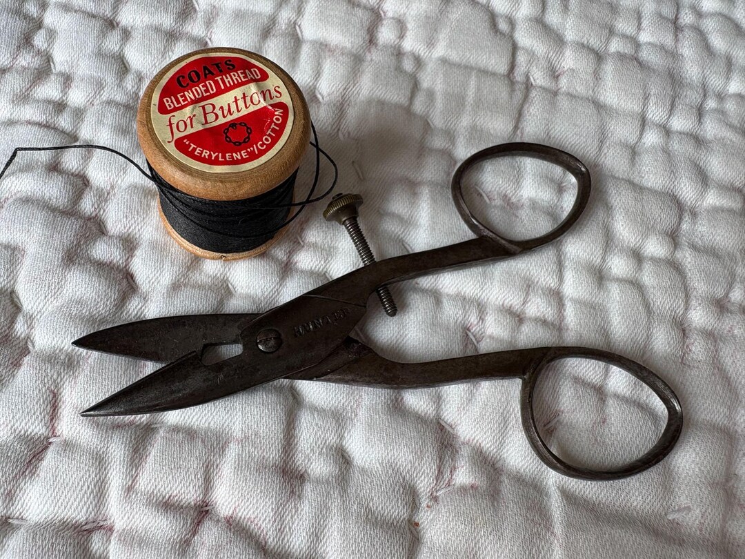 Antique Victorian Steel Buttonhole Scissors With Brass Adjusting Screw ...