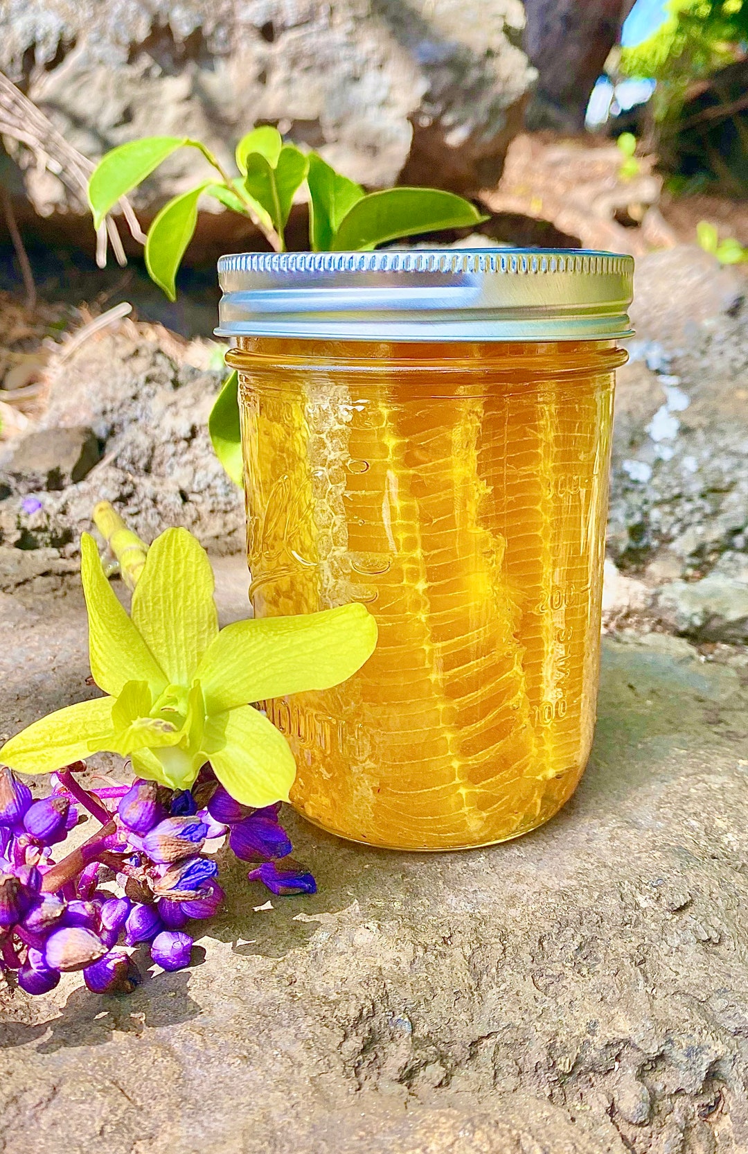 Hawaiian Raw Comb Honey 23 Oz Net Wt Etsy